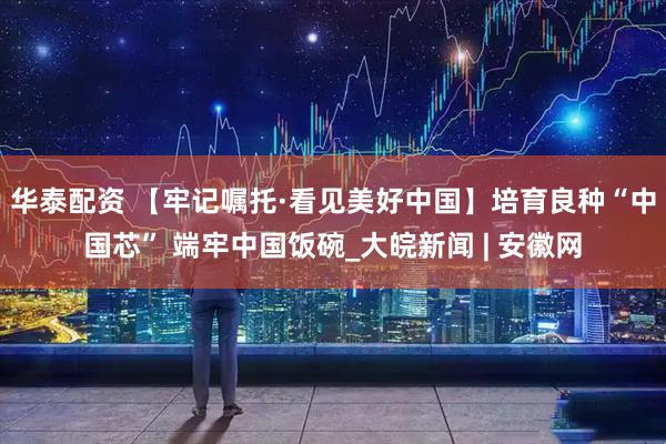 华泰配资 【牢记嘱托·看见美好中国】培育良种“中国芯” 端牢中国饭碗_大皖新闻 | 安徽网