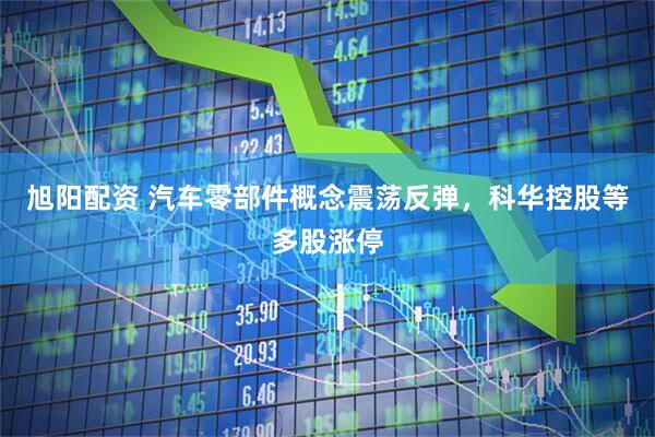 旭阳配资 汽车零部件概念震荡反弹，科华控股等多股涨停