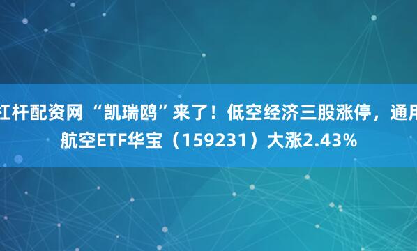杠杆配资网 “凯瑞鸥”来了！低空经济三股涨停，通用航空ETF华宝（159231）大涨2.43%