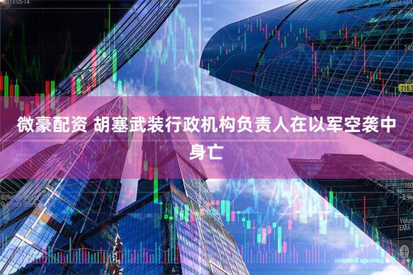 微豪配资 胡塞武装行政机构负责人在以军空袭中身亡