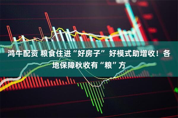 鸿牛配资 粮食住进“好房子” 好模式助增收！各地保障秋收有“粮”方