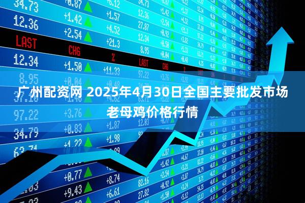 广州配资网 2025年4月30日全国主要批发市场老母鸡价格行情